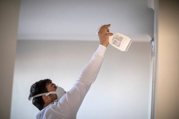 Trusted Valley Falls, RI Mold Removal Experts