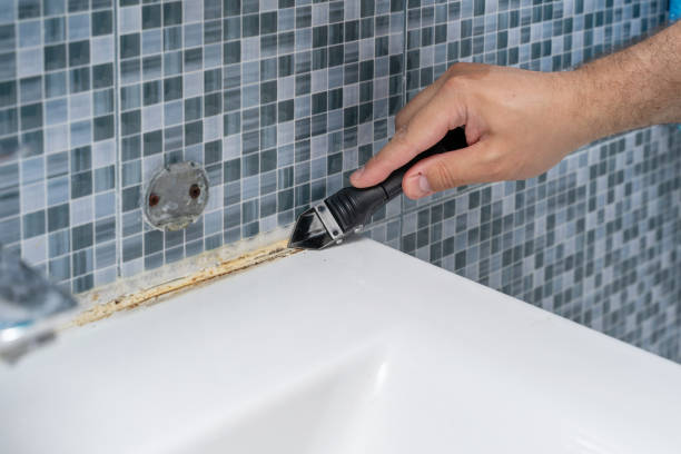 Best Certified Mold Removal  in Valley Falls, RI